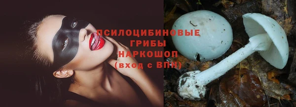герыч Липки