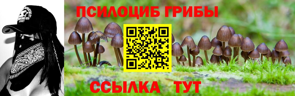 Псилоцибиновые грибы ЛСД Мелеуз